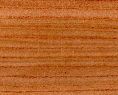 Ulme (Rüster), Holz Furnier